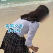 ヒメ日記 2026/04/16 21:39 投稿 かんな 夕月