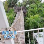 かんな どっちが好き？ 夕月