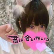 ヒメ日記 2025/02/22 14:00 投稿 れむ プレイボーイ　アゲハ