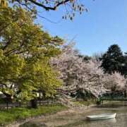 ヒメ日記 2025/04/11 01:37 投稿 【わか】はほんわか buzz-B