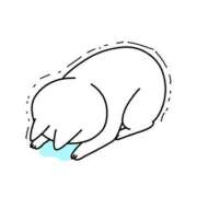 ヒメ日記 2025/04/13 08:30 投稿 【わか】はほんわか buzz-B