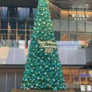 ヒメ日記 2024/12/08 12:29 投稿 みさき ぽっちゃりデリヘル倶楽部