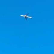 ヒメ日記 2025/01/06 03:19 投稿 みさき ぽっちゃりデリヘル倶楽部