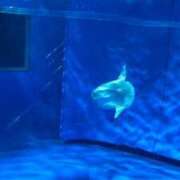 ヒメ日記 2025/02/06 20:01 投稿 みさき ぽっちゃりデリヘル倶楽部