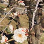 ヒメ日記 2025/02/23 22:39 投稿 みさき ぽっちゃりデリヘル倶楽部