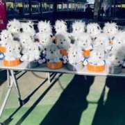 ヒメ日記 2025/05/13 19:59 投稿 みさき ぽっちゃりデリヘル倶楽部