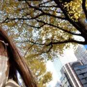 ヒメ日記 2025/11/22 10:59 投稿 みさき ぽっちゃりデリヘル倶楽部