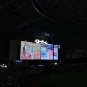 ヒメ日記 2025/11/25 23:22 投稿 みさき ぽっちゃりデリヘル倶楽部