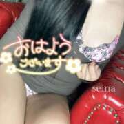 ヒメ日記 2025/11/21 10:58 投稿 せいな 脱がされたい人妻 町田・相模原店