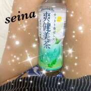 ヒメ日記 2025/11/28 12:39 投稿 せいな 脱がされたい人妻 町田・相模原店