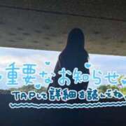 ヒメ日記 2024/12/25 10:10 投稿 ナナセ【性欲MAXの潮吹き嬢】 ドMなバニーちゃん和歌山店