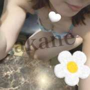 ヒメ日記 2026/07/25 18:24 投稿 杉谷 あかね【秘書クラス】 PHOENIX(フェニックス)鳥栖店