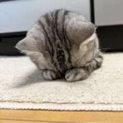 ヒメ日記 2025/07/17 21:56 投稿 えりか 素人系イメージSOAP彼女感大宮館