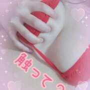 ヒメ日記 2025/03/12 08:06 投稿 あみ 天空のマット　熊本店