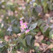 ヒメ日記 2024/12/15 18:30 投稿 そら 美熟女倶楽部Hip's 春日部店