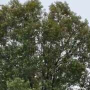 ヒメ日記 2025/03/19 07:44 投稿 そら 美熟女倶楽部Hip's 春日部店