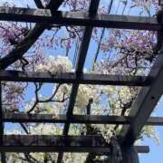 ヒメ日記 2025/04/17 12:44 投稿 そら 美熟女倶楽部Hip's 春日部店