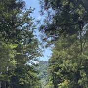 ヒメ日記 2025/07/05 08:49 投稿 そら 美熟女倶楽部Hip's 春日部店