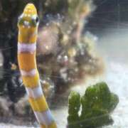 ヒメ日記 2025/08/19 08:09 投稿 そら 美熟女倶楽部Hip's 春日部店