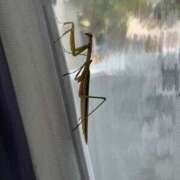 ヒメ日記 2025/09/02 19:00 投稿 そら 美熟女倶楽部Hip's 春日部店