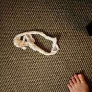 ヒメ日記 2026/04/28 20:42 投稿 そら 美熟女倶楽部Hip's 春日部店