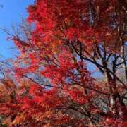 レミ ありがとう🙏🏻 リッチドールなんば店