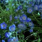 ヒメ日記 2026/03/25 14:12 投稿 れあ スピードエコ難波店