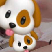 ヒメ日記 2025/05/11 13:13 投稿 一条まりあ ニューハーフヘルスSURPRISE ONE日本橋店