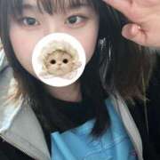 ヒメ日記 2024/12/28 23:45 投稿 チアキ バニーコレクション新潟店