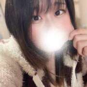 ヒメ日記 2024/12/29 08:00 投稿 チアキ バニーコレクション新潟店