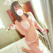 ヒメ日記 2024/12/29 12:01 投稿 チアキ バニーコレクション新潟店