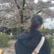 ヒメ日記 2025/04/14 15:02 投稿 チアキ バニーコレクション新潟店