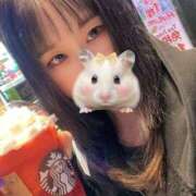 ヒメ日記 2025/04/17 14:50 投稿 チアキ バニーコレクション新潟店