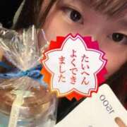 ヒメ日記 2025/04/23 23:45 投稿 チアキ バニーコレクション新潟店