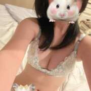 ヒメ日記 2025/04/24 15:00 投稿 チアキ バニーコレクション新潟店