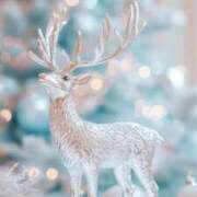 ヒメ日記 2025/05/26 11:08 投稿 チアキ バニーコレクション新潟店