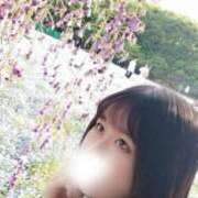 ヒメ日記 2025/05/29 15:00 投稿 チアキ バニーコレクション新潟店