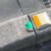 ヒメ日記 2025/06/23 09:00 投稿 チアキ バニーコレクション新潟店