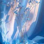 ヒメ日記 2025/07/01 16:28 投稿 チアキ バニーコレクション新潟店