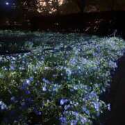 ヒメ日記 2026/04/18 14:02 投稿 ゆら まじらぶ！