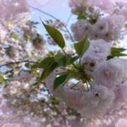 ヒメ日記 2025/04/15 17:22 投稿 りな 池袋あられ