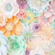 ヒメ日記 2024/12/12 16:33 投稿 紗那(サナ) グランドオペラ名古屋