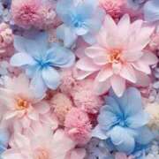 ヒメ日記 2024/12/12 18:59 投稿 紗那(サナ) グランドオペラ名古屋