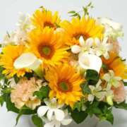 ヒメ日記 2024/12/14 12:00 投稿 紗那(サナ) グランドオペラ名古屋