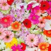 ヒメ日記 2025/04/09 19:39 投稿 紗那(サナ) グランドオペラ名古屋