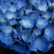 ヒメ日記 2025/06/17 12:19 投稿 紗那(サナ) グランドオペラ名古屋