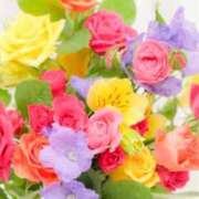 ヒメ日記 2025/06/23 22:09 投稿 紗那(サナ) グランドオペラ名古屋