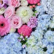 ヒメ日記 2025/07/22 18:59 投稿 紗那(サナ) グランドオペラ名古屋