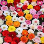 ヒメ日記 2025/08/22 07:19 投稿 紗那(サナ) グランドオペラ名古屋