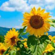 ヒメ日記 2025/08/24 17:49 投稿 紗那(サナ) グランドオペラ名古屋